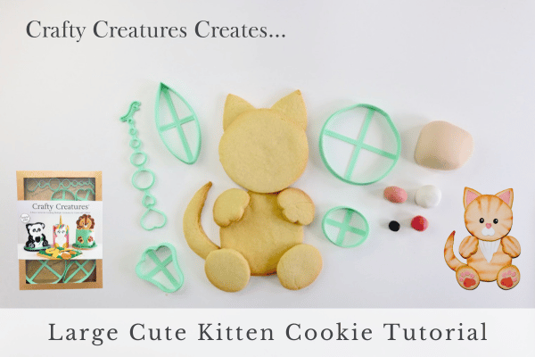 fondant cute cookie box