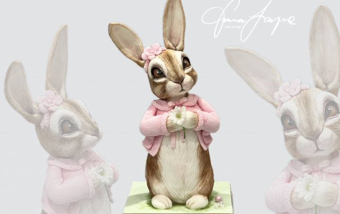 Emma jayne 3d flopsy bunny rabbit cake